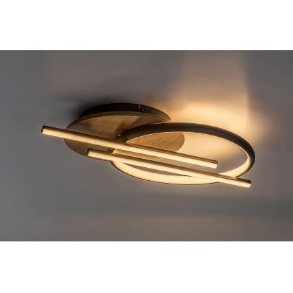 Rabalux - Plafoniera LED LED/40W/230V 3000/4000/6500K