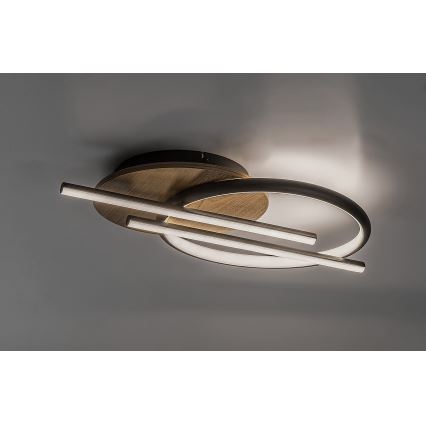 Rabalux - Plafoniera LED LED/40W/230V 3000/4000/6500K