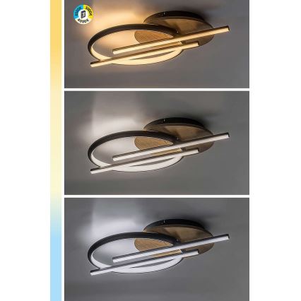 Rabalux - Plafoniera LED LED/40W/230V 3000/4000/6500K