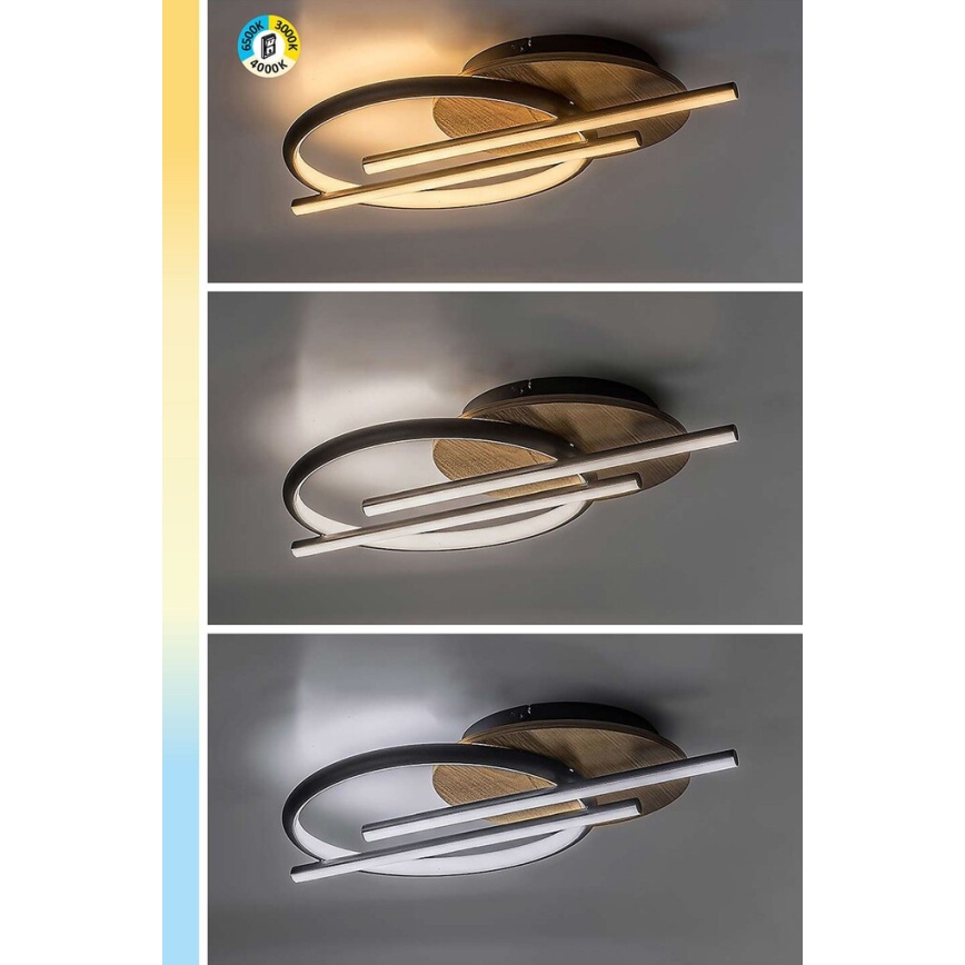 Rabalux - Plafoniera LED LED/40W/230V 3000/4000/6500K