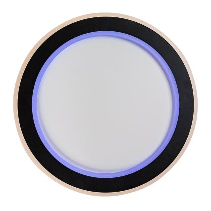 Rabalux - Plafoniera LED RGB dimmerabile LED/22W/230V 3000-6500K + telecomando