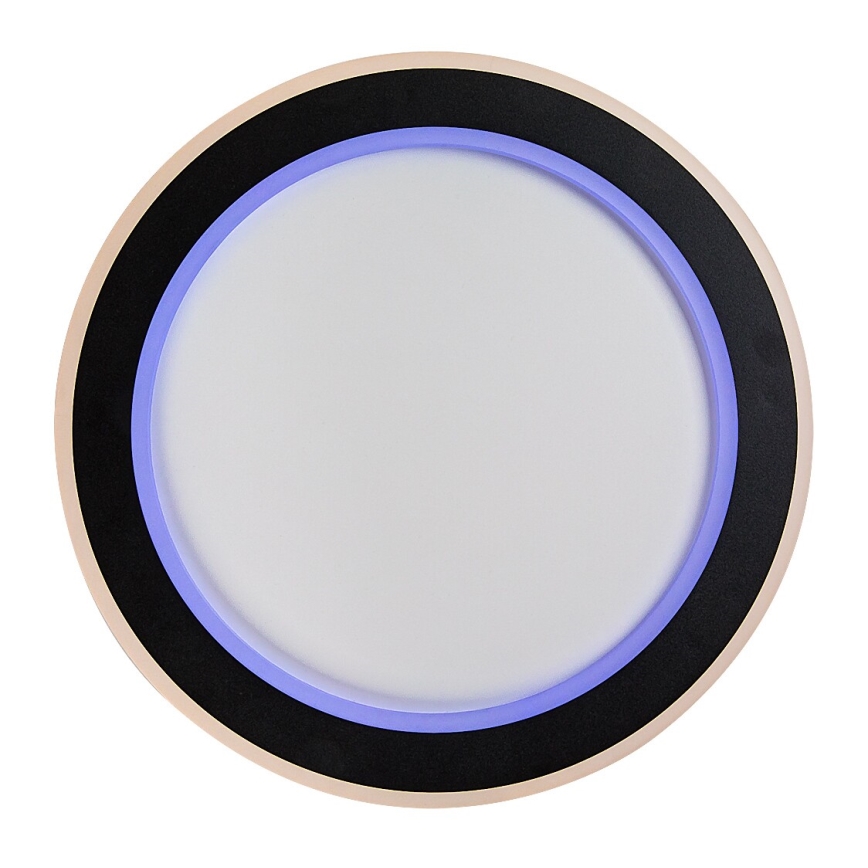 Rabalux - Plafoniera LED RGB dimmerabile LED/22W/230V 3000-6500K + telecomando