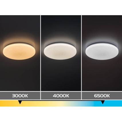 Rabalux - LED-dimmbare Deckenleuchte LED/12W/230V 3000-6500K Durchmesser 26 cm + Fernbedienung