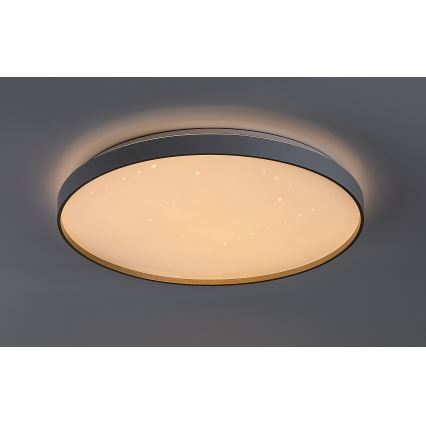 Rabalux - Plafoniera LED dimmerabile LED/80W/230V 3000-6500K Ø 77 cm + telecomando