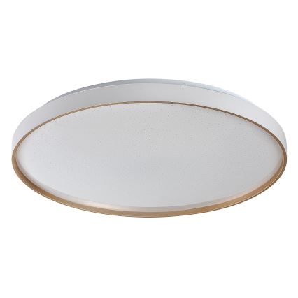 Rabalux - Plafoniera LED dimmerabile LED/80W/230V 3000-6500K Ø 77 cm + telecomando