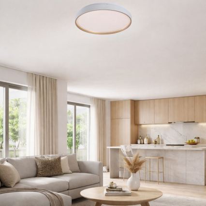 Rabalux - LED-dimmbare Deckenleuchte LED/80W/230V 3000-6500K Ø 77 cm + Fernbedienung