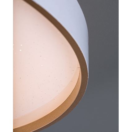 Rabalux - LED-dimmbare Deckenleuchte LED/80W/230V 3000-6500K Ø 77 cm + Fernbedienung