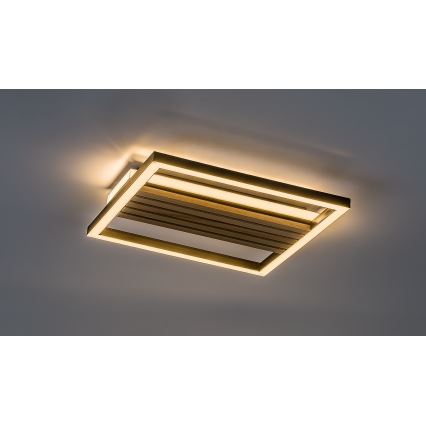 Rabalux - LED-Deckenleuchte LED/26W/230V 3000/4500/6000K
