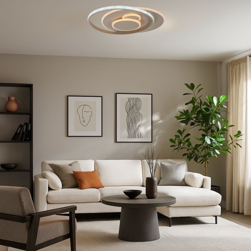 Rabalux - Plafoniera LED dimmerabile LED/57W/230V 3000-6000K 48,5x40 cm + telecomando