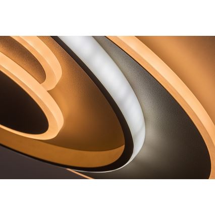 Rabalux - Plafoniera LED dimmerabile LED/57W/230V 3000-6000K 48,5x40 cm + telecomando