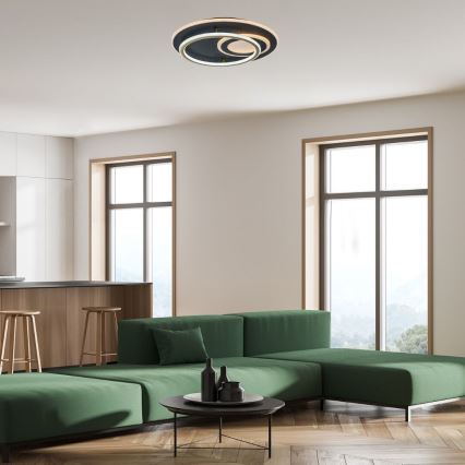 Rabalux - LED dimmbare Deckenleuchte LED/60W/230V 3000-6000K Ø 50 cm + Fernbedienung