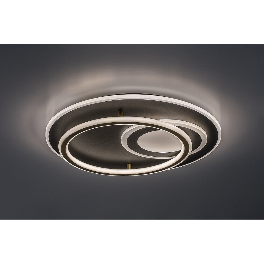 Rabalux - Plafonnier LED dimmable LED/60W/230V 3000-6000K Ø 50 cm + télécommande