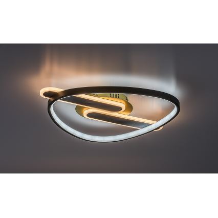 Rabalux - LED-dimmbare Deckenleuchte LED/60W/230V 3000-6000K 53x45 cm + Fernbedienung