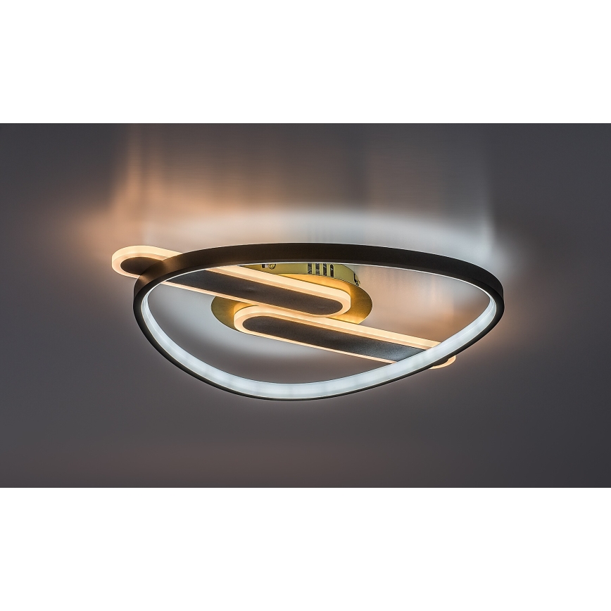 Rabalux - LED-dimmbare Deckenleuchte LED/60W/230V 3000-6000K 53x45 cm + Fernbedienung