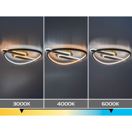 Rabalux - LED-dimmbare Deckenleuchte LED/60W/230V 3000-6000K 53x45 cm + Fernbedienung