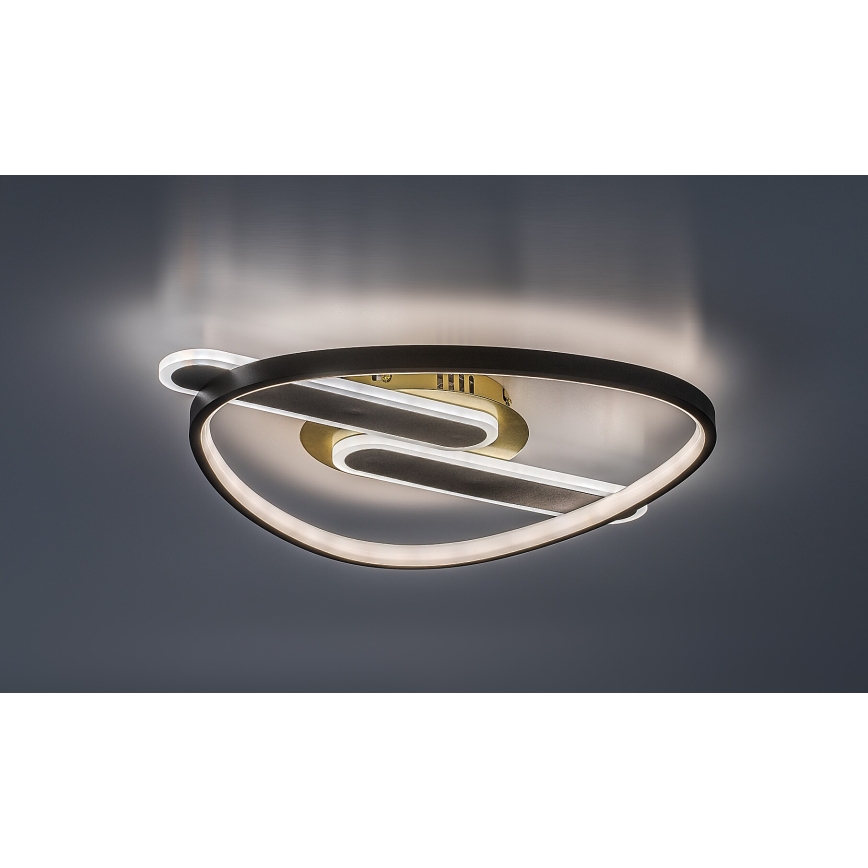 Rabalux - Plafoniera LED dimmerabile LED/60W/230V 3000-6000K 53x45 cm + telecomando