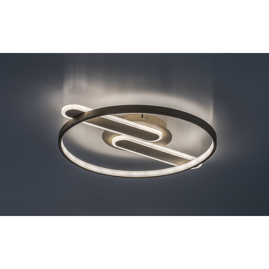Rabalux - Plafoniera LED dimmerabile LED/55W/230V 3000-6000K 53x45 cm + telecomando