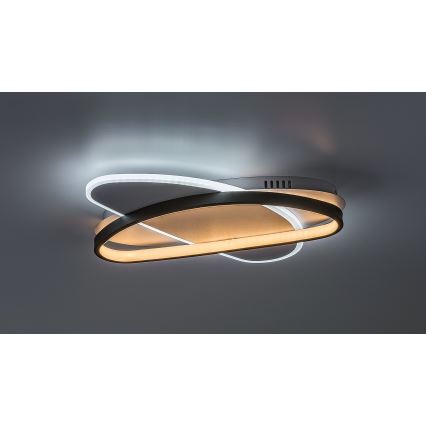 Rabalux - Plafoniera LED dimmerabile LED/57W/230V 3000-6000K 45x30,5 cm + telecomando