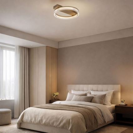 Rabalux - Plafoniera da soffitto LED dimmerabile LED/18W/230V 3000-6500K 37x33 cm + telecomando