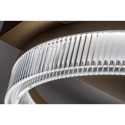 Rabalux - Plafoniera da soffitto LED dimmerabile LED/18W/230V 3000-6500K 37x33 cm + telecomando