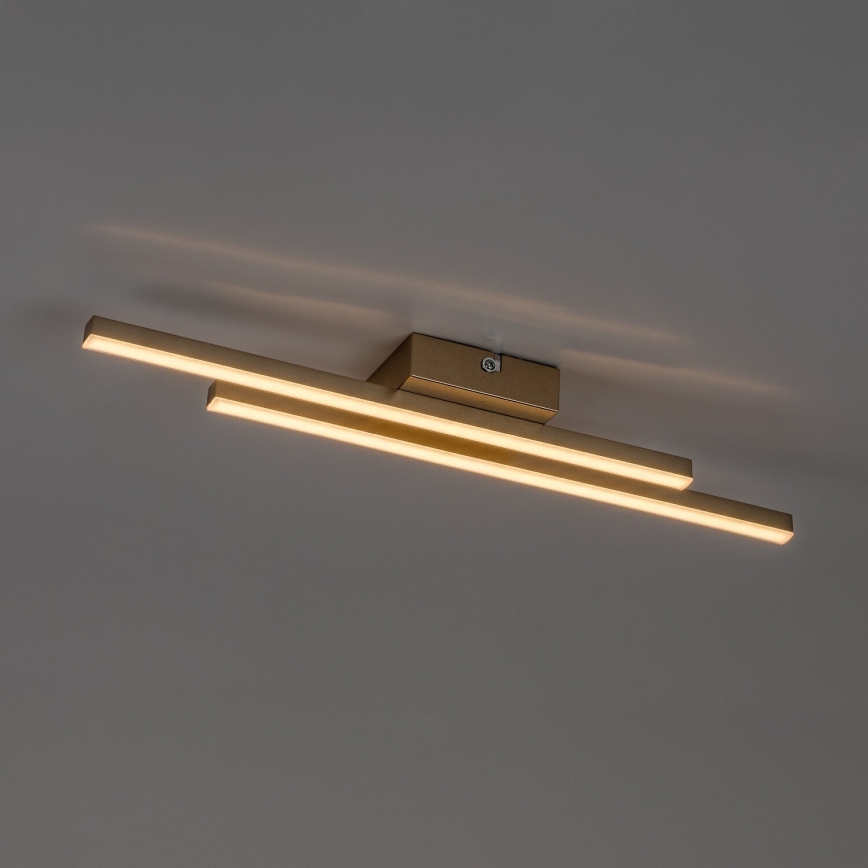 Rabalux - LED plafonnier LED/12W/230V 3000K doré