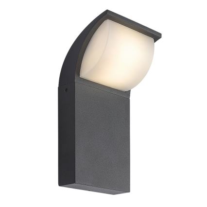 Rabalux - Applique murale d'extérieur LED/9W/230V IP65