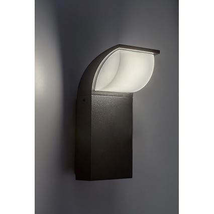 Rabalux - Applique murale d'extérieur LED/9W/230V IP65
