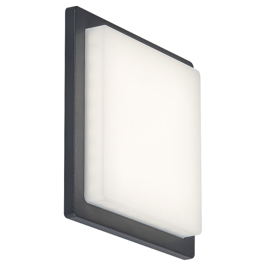 Rabalux - Applique LED da esterno LED/8W/230V IP65