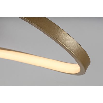 Rabalux - LED-Deckenleuchte LED/30W/230V 3000K