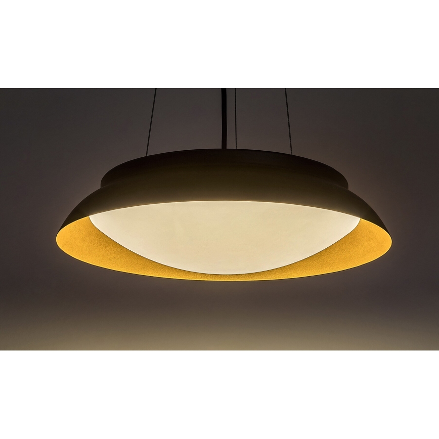 Rabalux - Lampadario LED a sospensione con filo LED/24W/230V 3000K