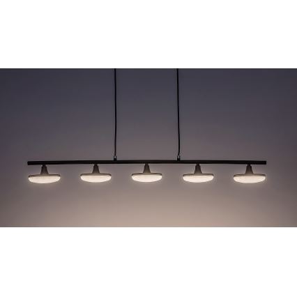 Rabalux - Lampadario LED a sospensione con filo 5xLED/4W/230V 3000K