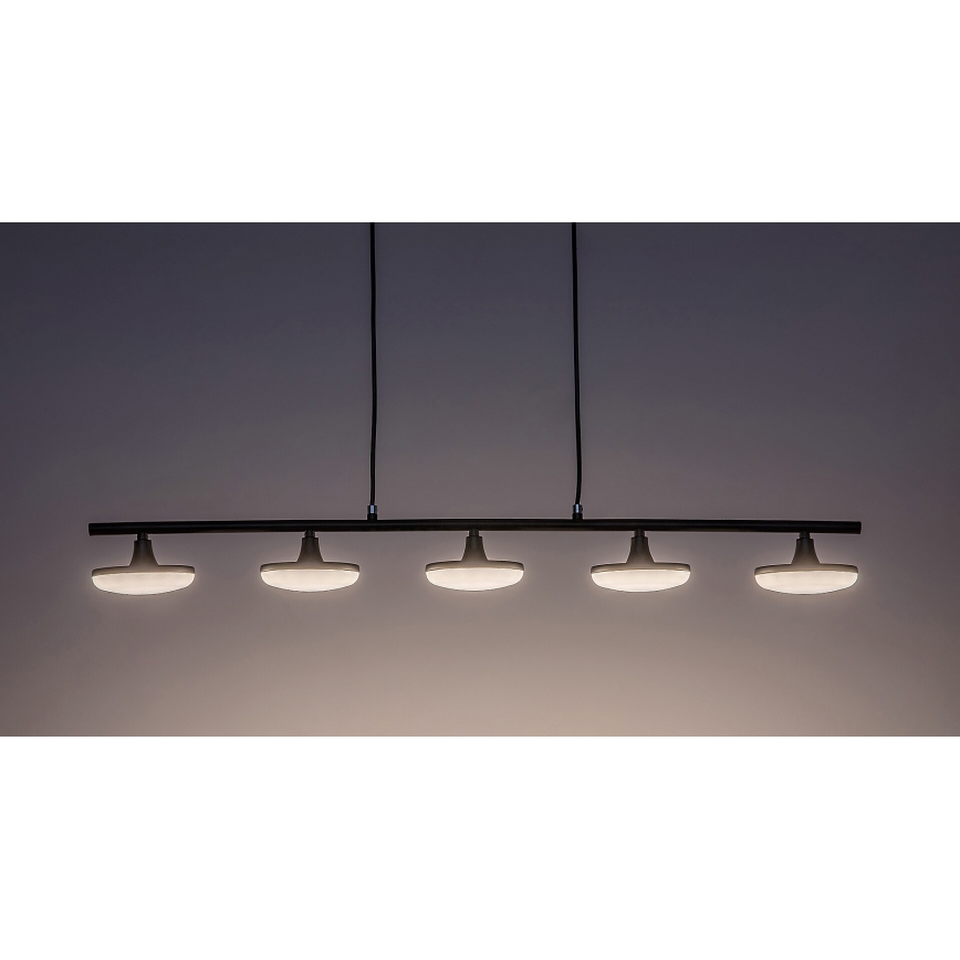 Rabalux - Lampadario LED a sospensione con filo 5xLED/4W/230V 3000K