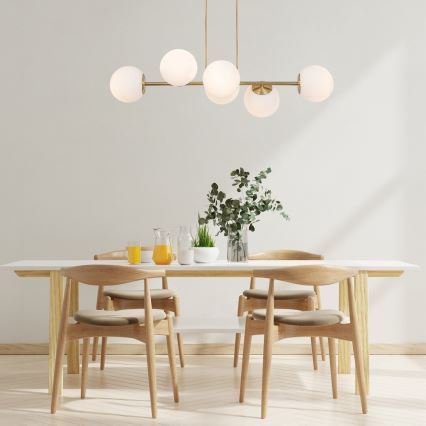 Rabalux - Lampadario a sospensione con filo 6xE27/35W/230V oro
