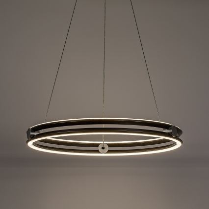 Rabalux - LED suspension dimmable sur câble LED/60W/230V 3000-6500K gris + télécommande