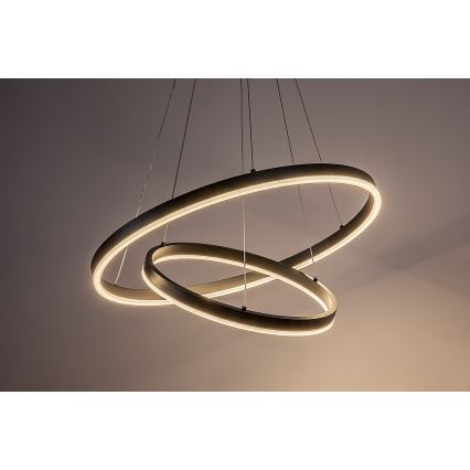 Rabalux - Suspension LED dimmable sur câble LED/80W/230V 3000-6500K + télécommande