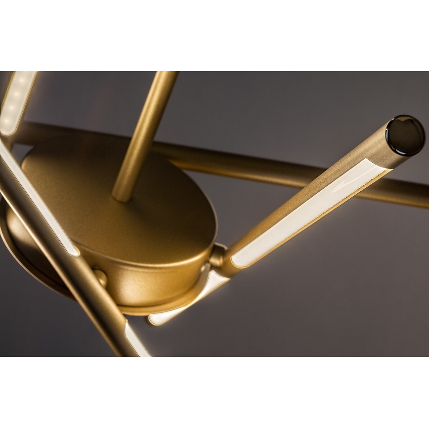 Rabalux - Lampadario LED a sospensione con filo LED/40W/230V 3000K oro