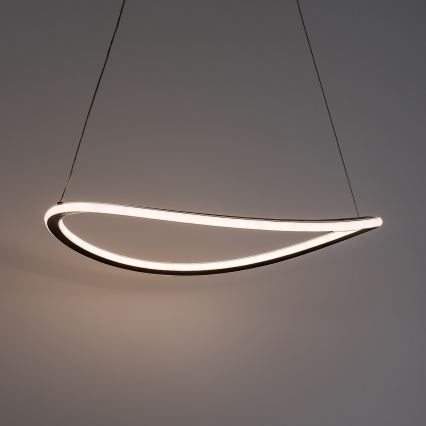 Rabalux - LED Lampadario dimmerabile a sospensione con cavo LED/45W/230V 3000-6500K + telecomando