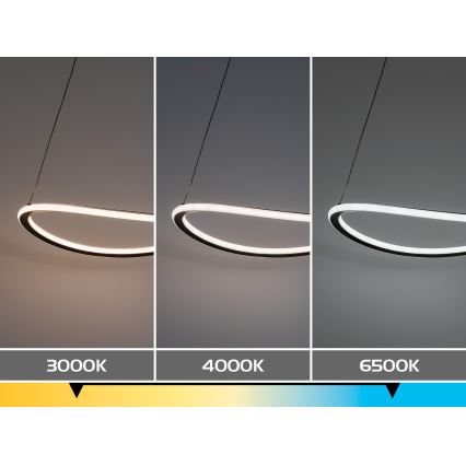 Rabalux - LED Lampadario dimmerabile a sospensione con cavo LED/45W/230V 3000-6500K + telecomando