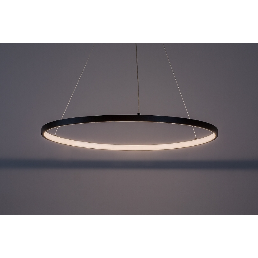 Rabalux - Lampadario LED a cavo LED/55W/230V 3000K