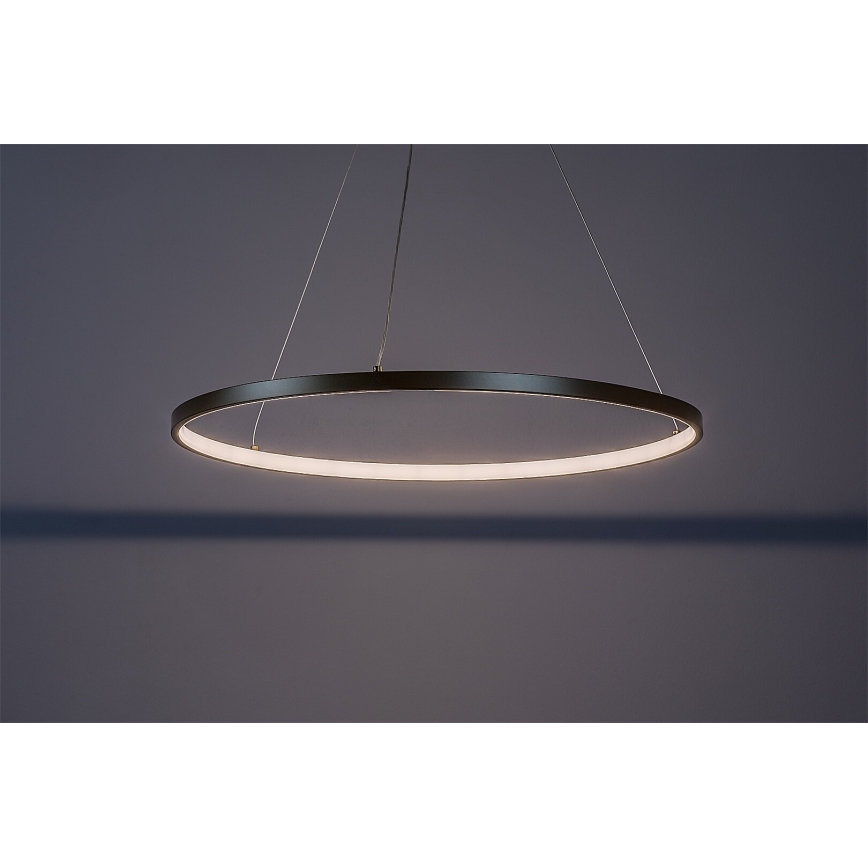 Rabalux - Lampadario a sospensione su cavo LED/55W/230V 3000K