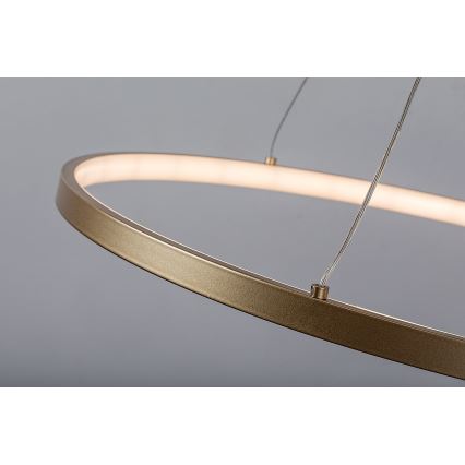 Rabalux - Lampadario a sospensione su cavo LED/55W/230V 3000K