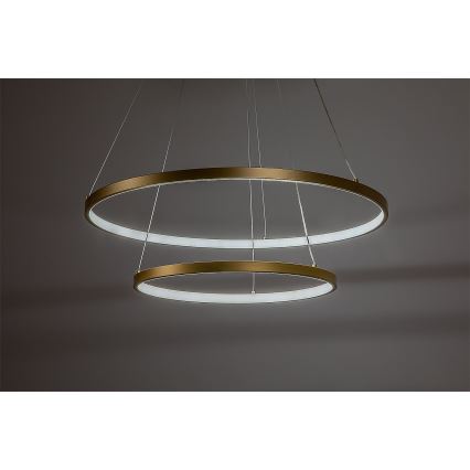 Rabalux - Dimmbarer LED-Hängeleuchter mit Seilaufhängung LED/75W/230V 3000-6500K + Fernbedienung