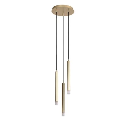 Rabalux - Hängeleuchte 3xG9/5W/230V golden