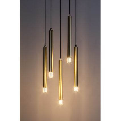 Rabalux - Hängeleuchte 5xG9/5W/230V golden