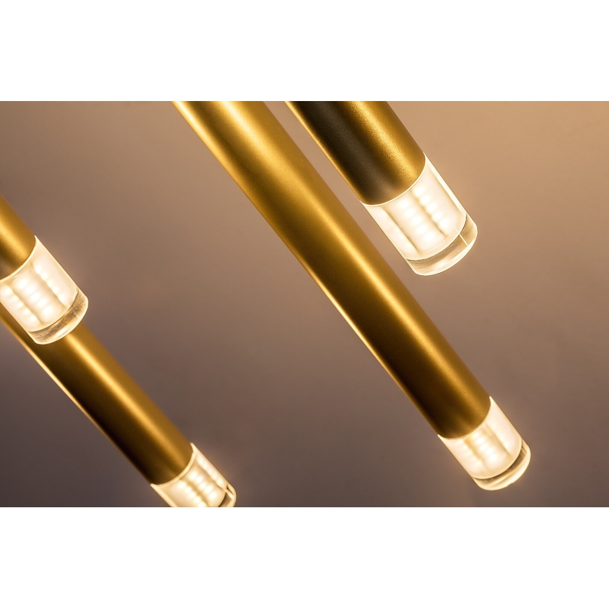 Rabalux - Hängeleuchte 10xG9/5W/230V golden