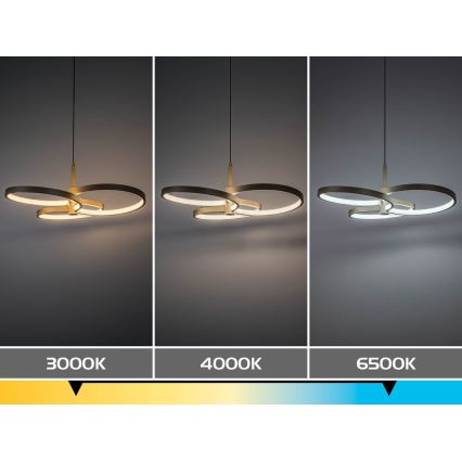 Rabalux - Lampada a sospensione LED dimmerabile con cavo LED/50W/230V 3000-6500K + telecomando
