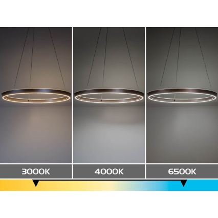 Rabalux - LED dimmbare Pendelleuchte am Kabel LED/70W/230V 3000-6500K + Fernbedienung