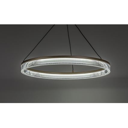 Rabalux - Lampadario LED dimmerabile a sospensione su cavo LED/24W/230V 3000-6500K + telecomando