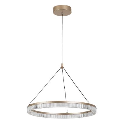 Rabalux - Lampadario LED dimmerabile a sospensione su cavo LED/24W/230V 3000-6500K + telecomando