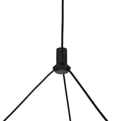 Rabalux - Lampadario LED dimmerabile a sospensione con cavo LED/24W/230V 3000-6500K + telecomando